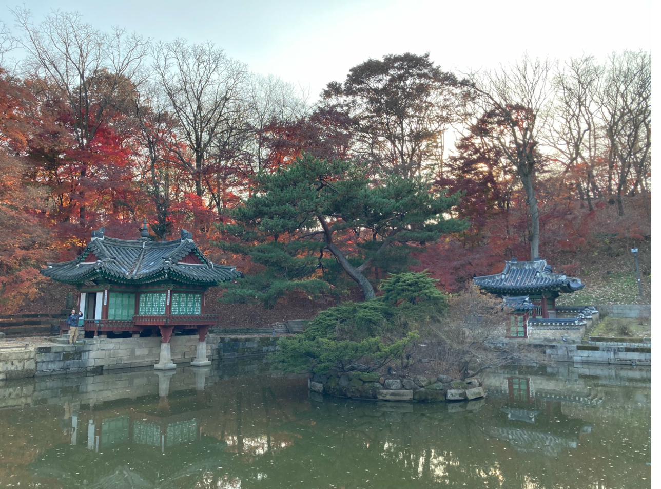 Changdeokgung Geheimgarten im Herbst