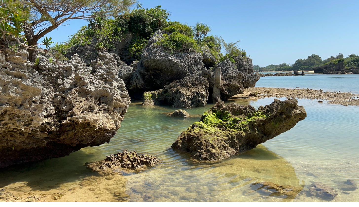Korallenfelsen an der Küste Okinawas