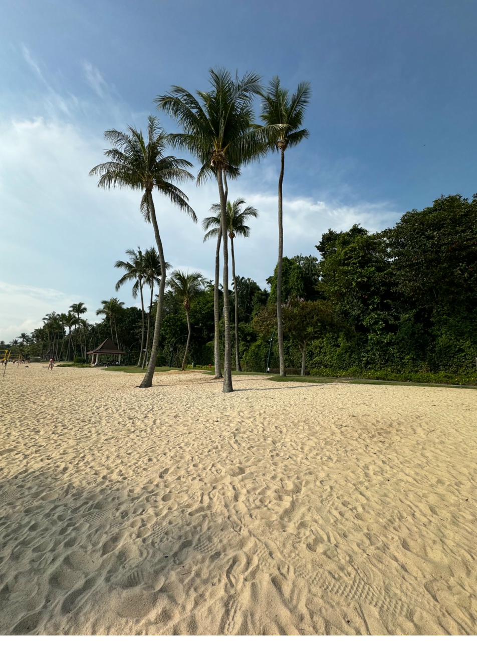 Palmenstrand auf Sentosa Island
